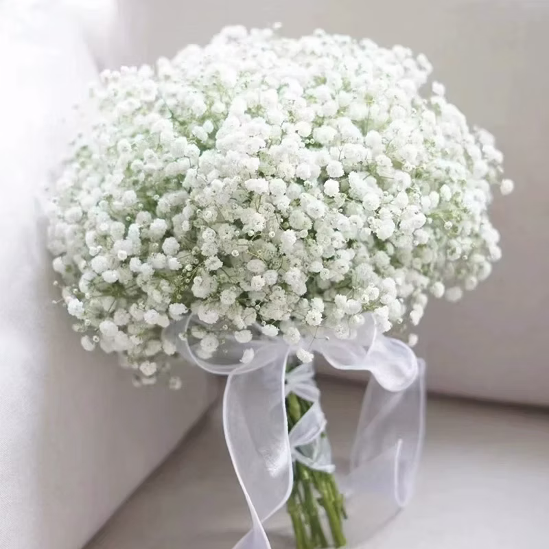 Bouquet of jasmine